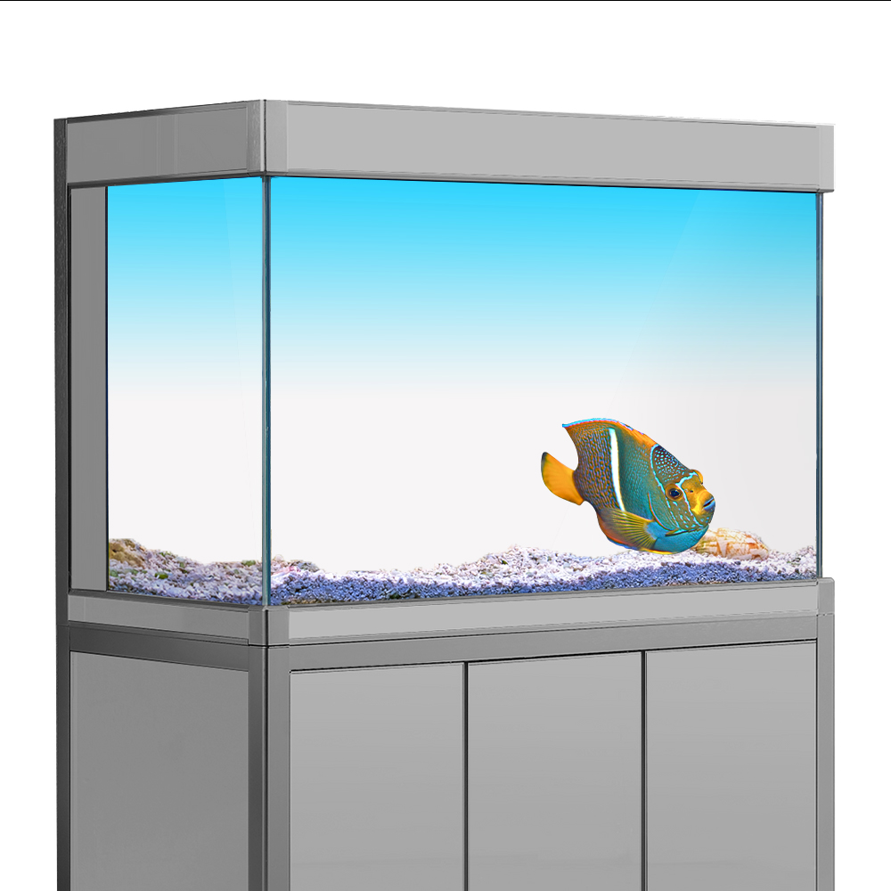 Aquarium Fish Wallpaper - ملصق خلفية لخزان الأسماك أبيض أصفر