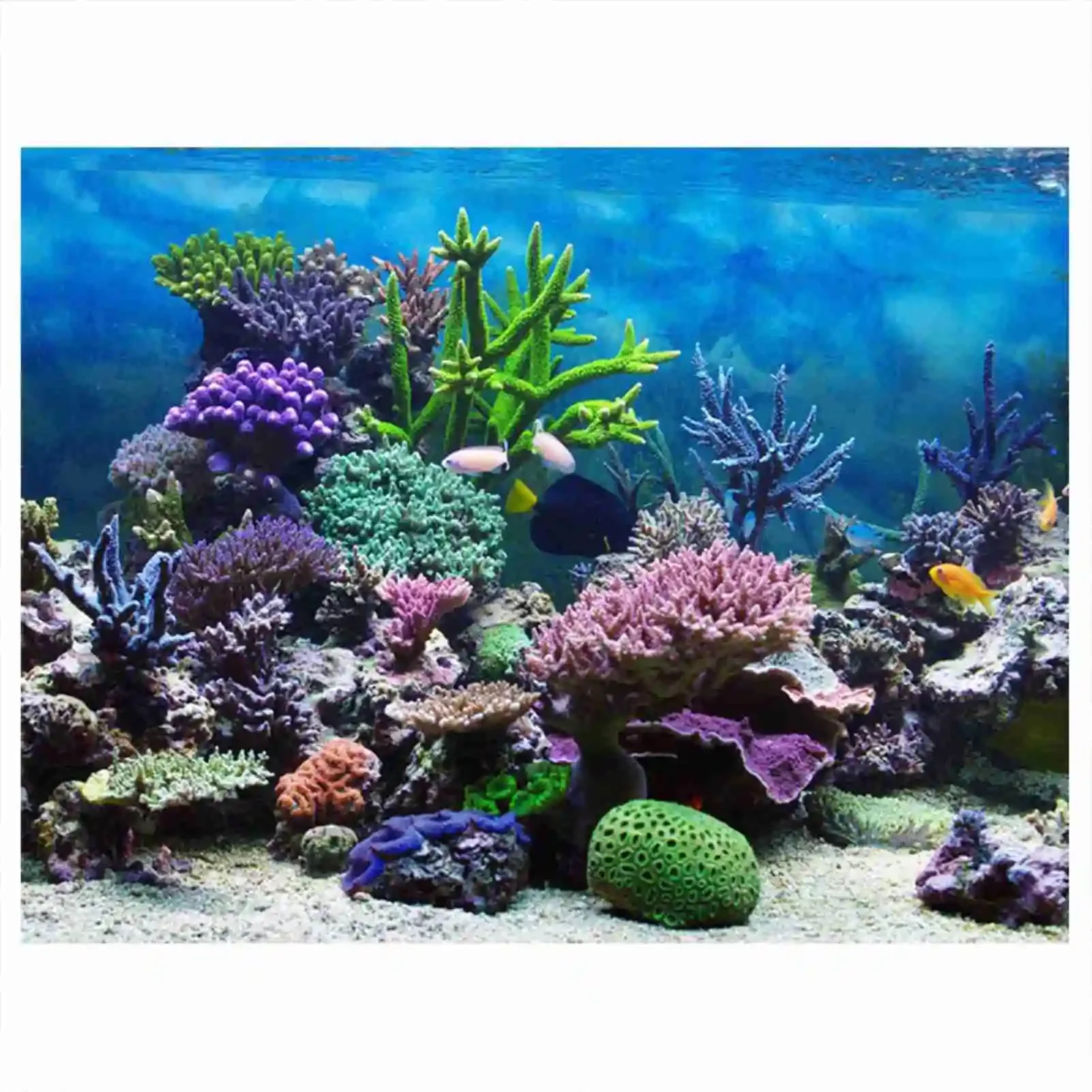 Aquarium Fish Wallpaper - ملصق ثلاثي الأبعاد لحوض السمك منظر