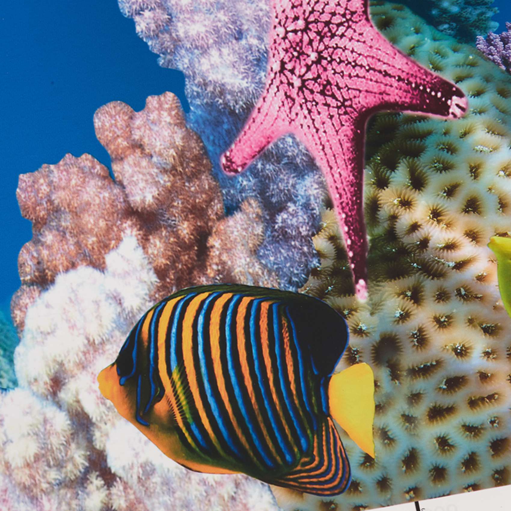 ورق خلفية للأحواض المائية ABWR - مراجعة Aquarium Fish Wallpaper وسعره