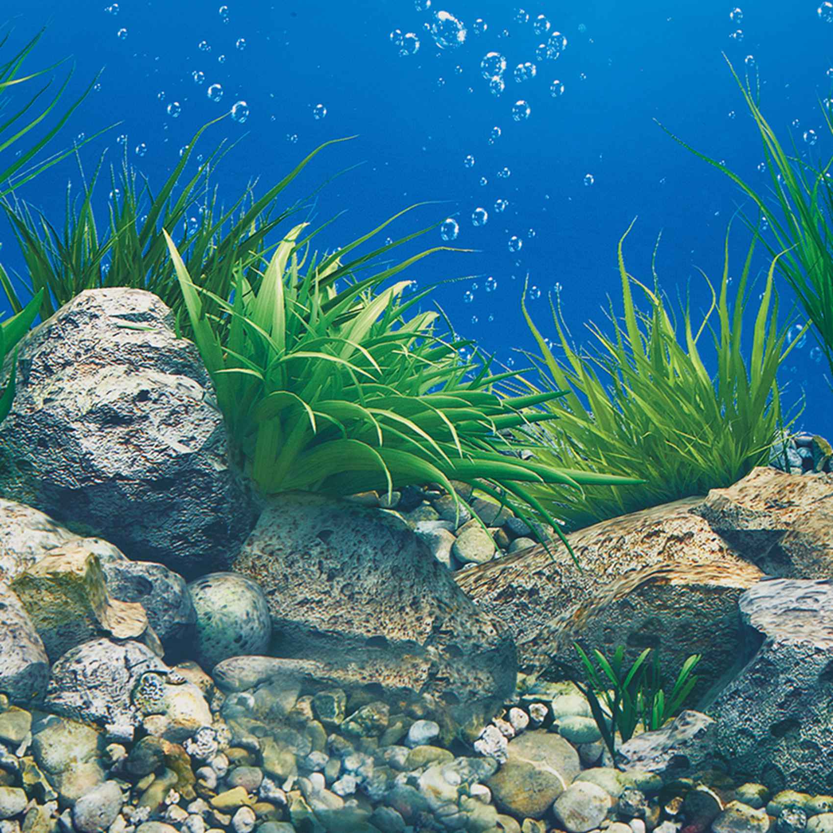 ورق خلفية للأحواض المائية ABWR - مراجعة Aquarium Fish Wallpaper وسعره