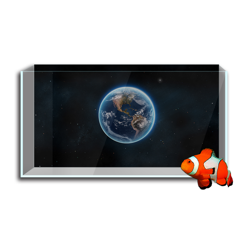 خزان حوض أسماك خلفية ملصق ، ال - مراجعة Aquarium Fish Wallpaper وسعره
