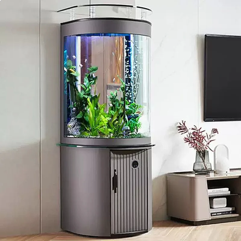 حوض سمك زجاجي نصف دائري من ZL  - مراجعة Aquarium Fish Low Maintenance وسعره