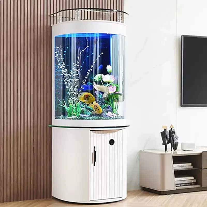 حوض سمك زجاجي نصف دائري من ZL  - مراجعة Aquarium Fish Low Maintenance وسعره