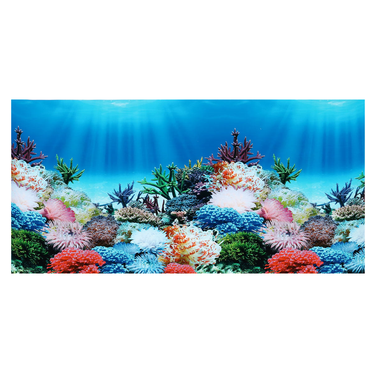 ملصق خلفية حوض السمك مزدوج الج - مراجعة Aquarium Fish Wallpaper وسعره