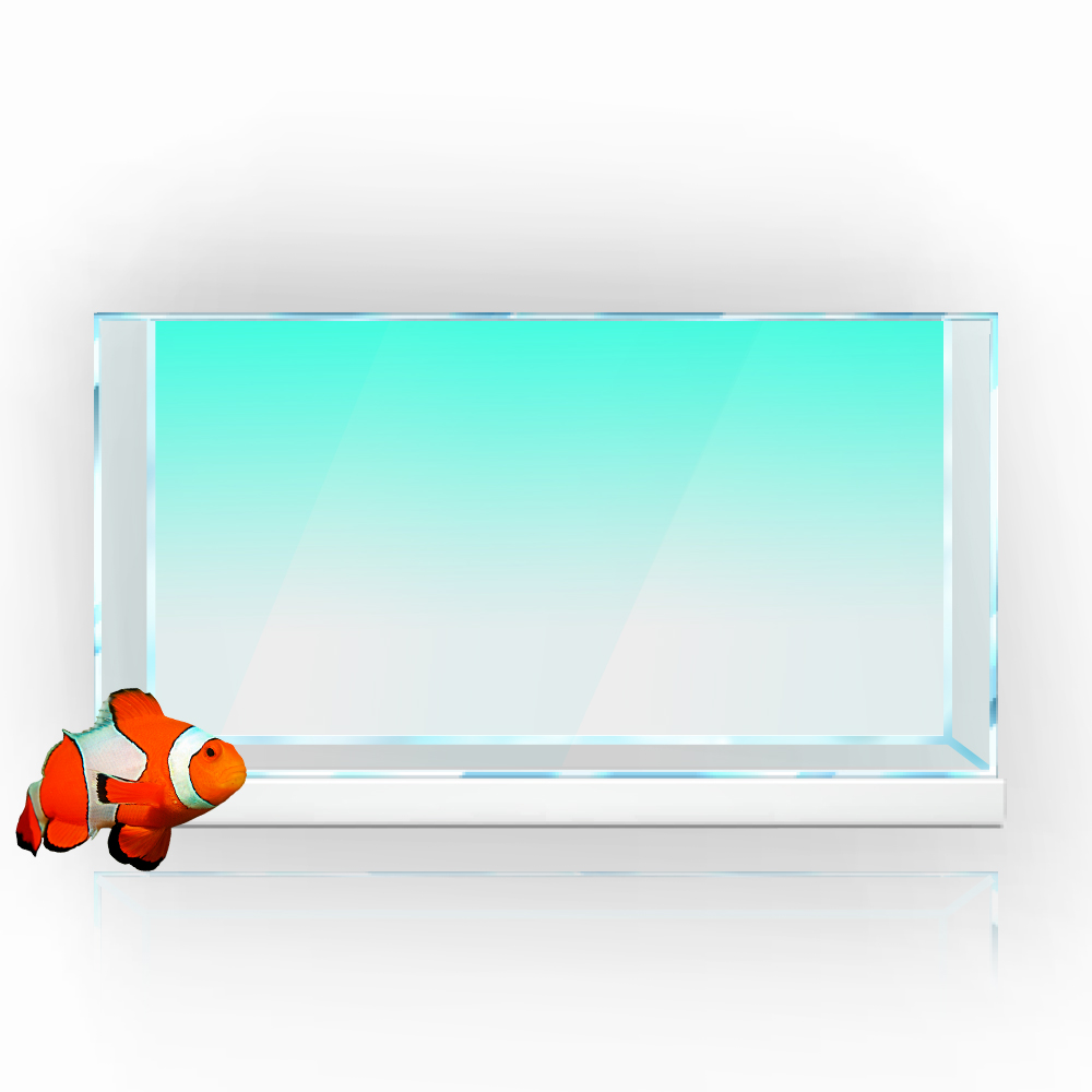 ملصق خلفية لخزان الأسماك أبيض  - مراجعة Aquarium Fish Wallpaper وسعره