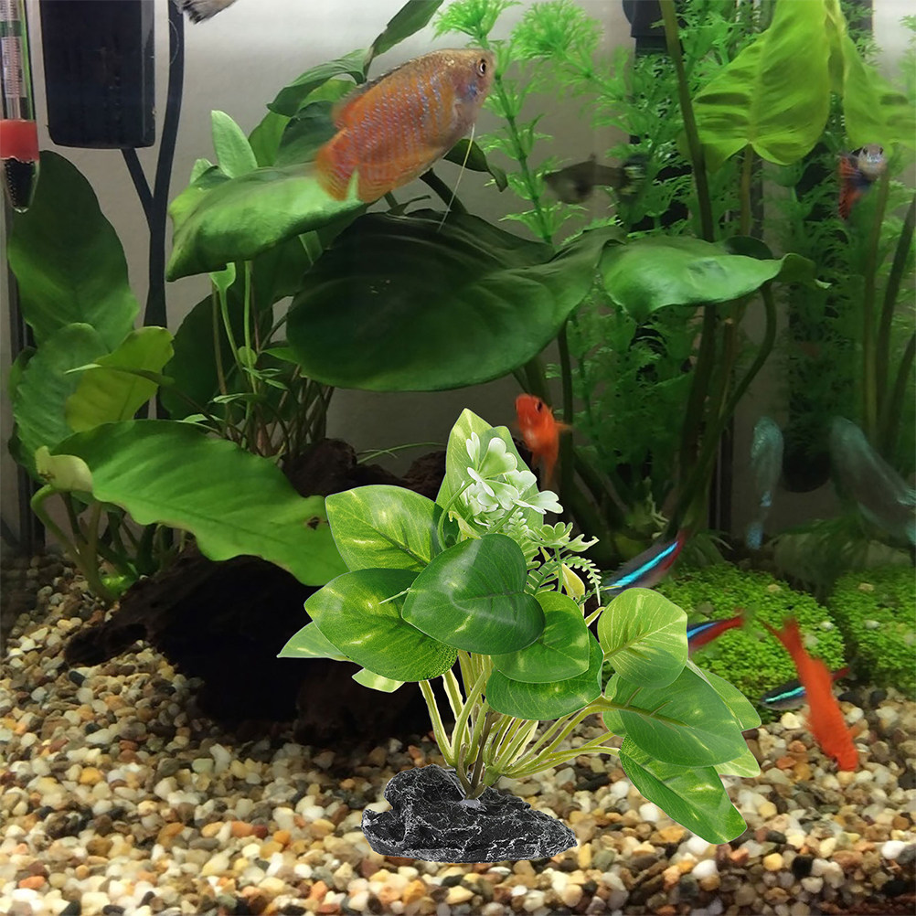 قطعتان من النباتات الاصطناعية  - مراجعة Aquarium Fish Low Maintenance وسعره