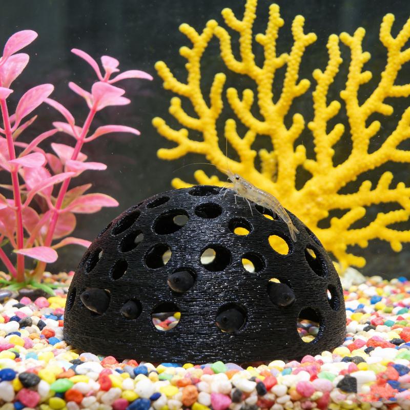 غرفة مخفية لحوض السمك للأسماك  - مراجعة Aquarium Fish Cave وسعره
