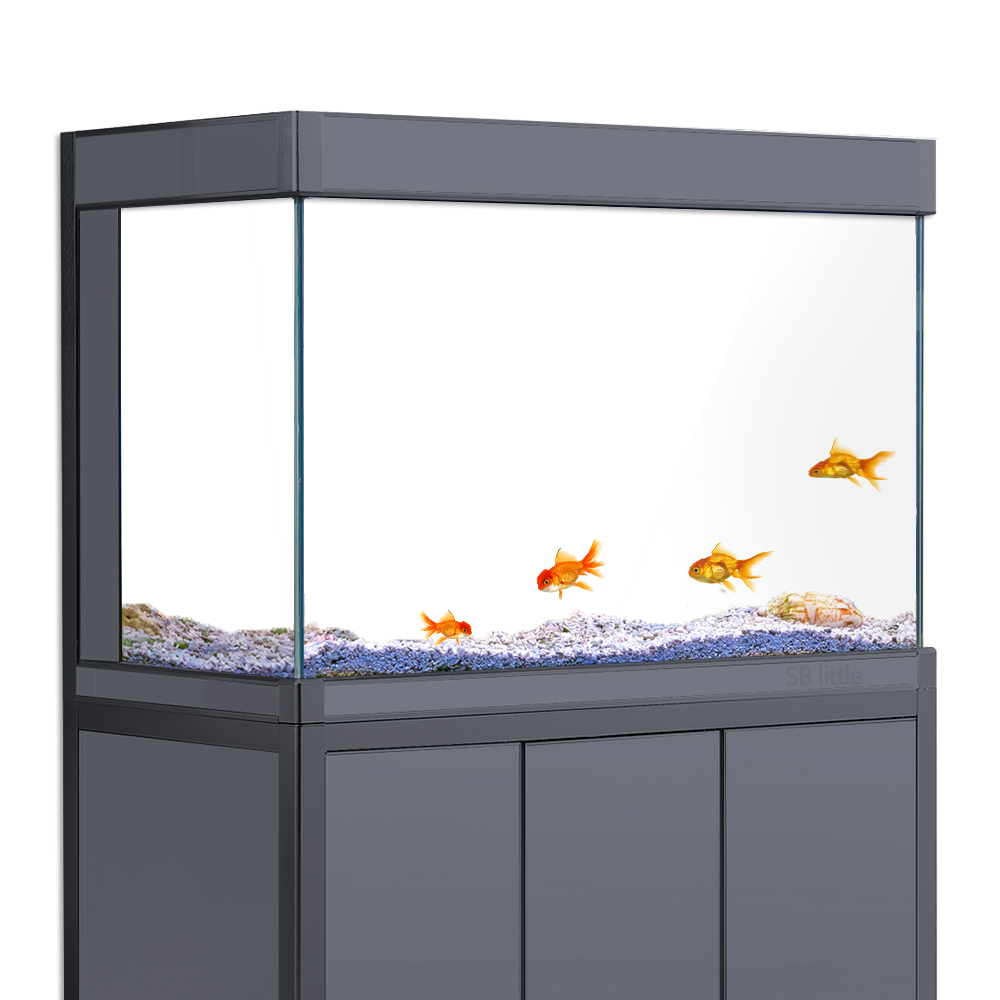 خلفية حوض السمك لاصقة ثابتة با - مراجعة Aquarium Fish Wallpaper وسعره