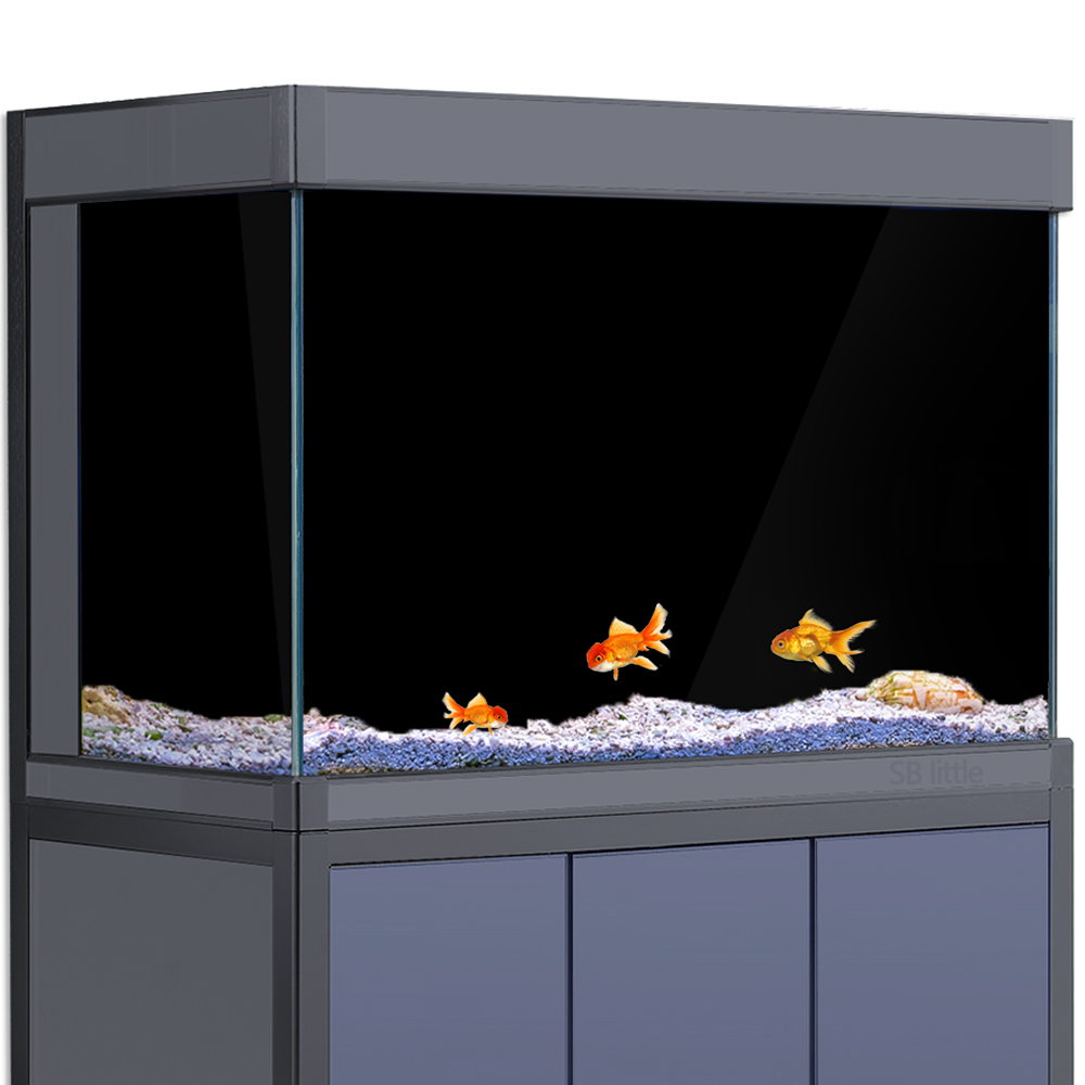خلفية حوض السمك لاصقة ثابتة با - مراجعة Aquarium Fish Wallpaper وسعره