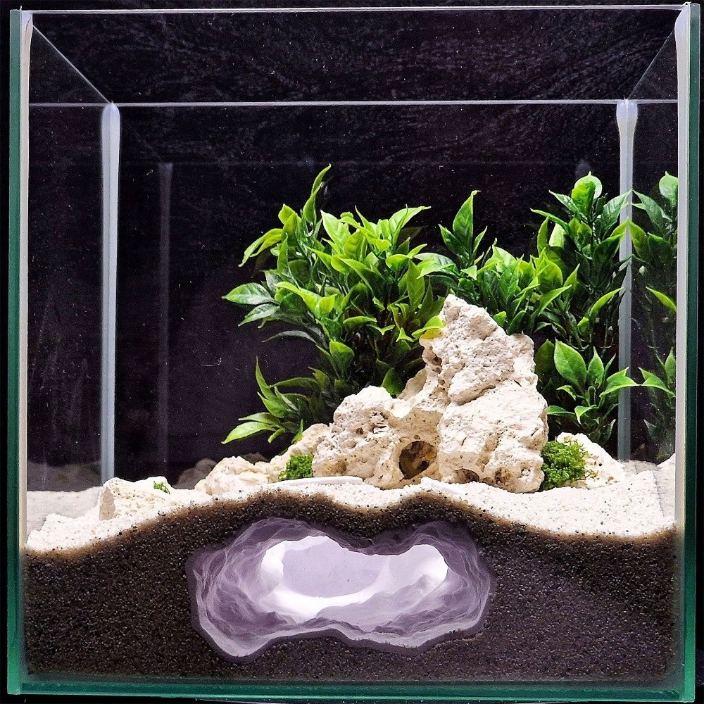 حوض أسماك محاكي للواقع بدرجة ع - مراجعة Aquarium Fish Cave وسعره