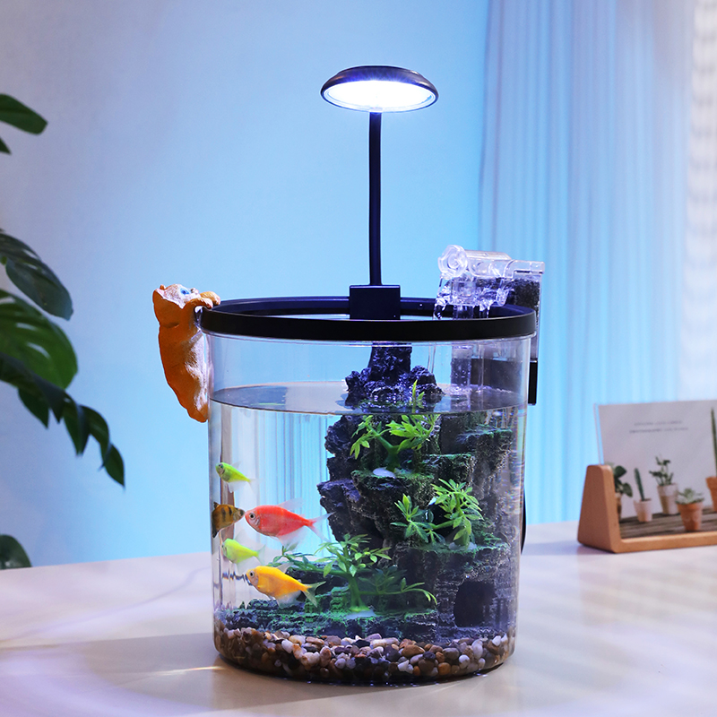 وعاء ذهبي مستدير مدمج - حوض ال - مراجعة Aquarium Fish Low Maintenance وسعره