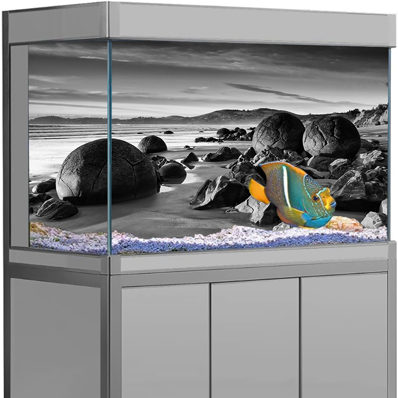 حوض السمك خلفية ملصق حجر عرض ا - مراجعة Aquarium Fish Wallpaper وسعره