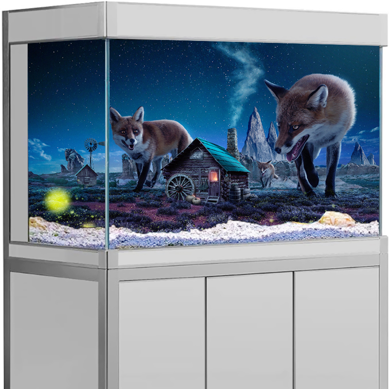 ملصق خلفية لحوض السمك بتصميم ا - مراجعة Aquarium Fish Wallpaper وسعره