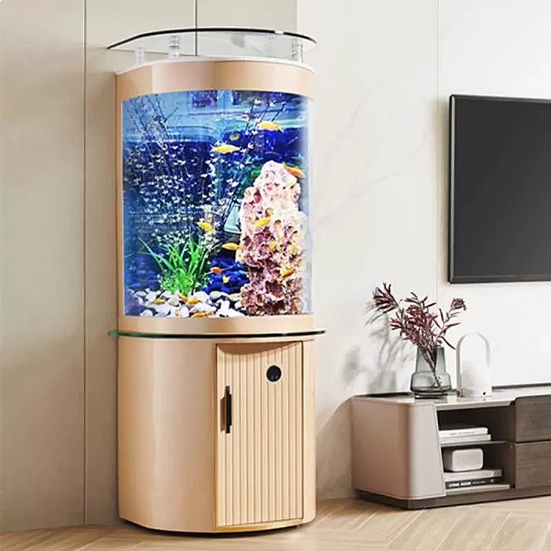 حوض سمك زجاجي نصف دائري بفلتر  - مراجعة Aquarium Fish Low Maintenance وسعره