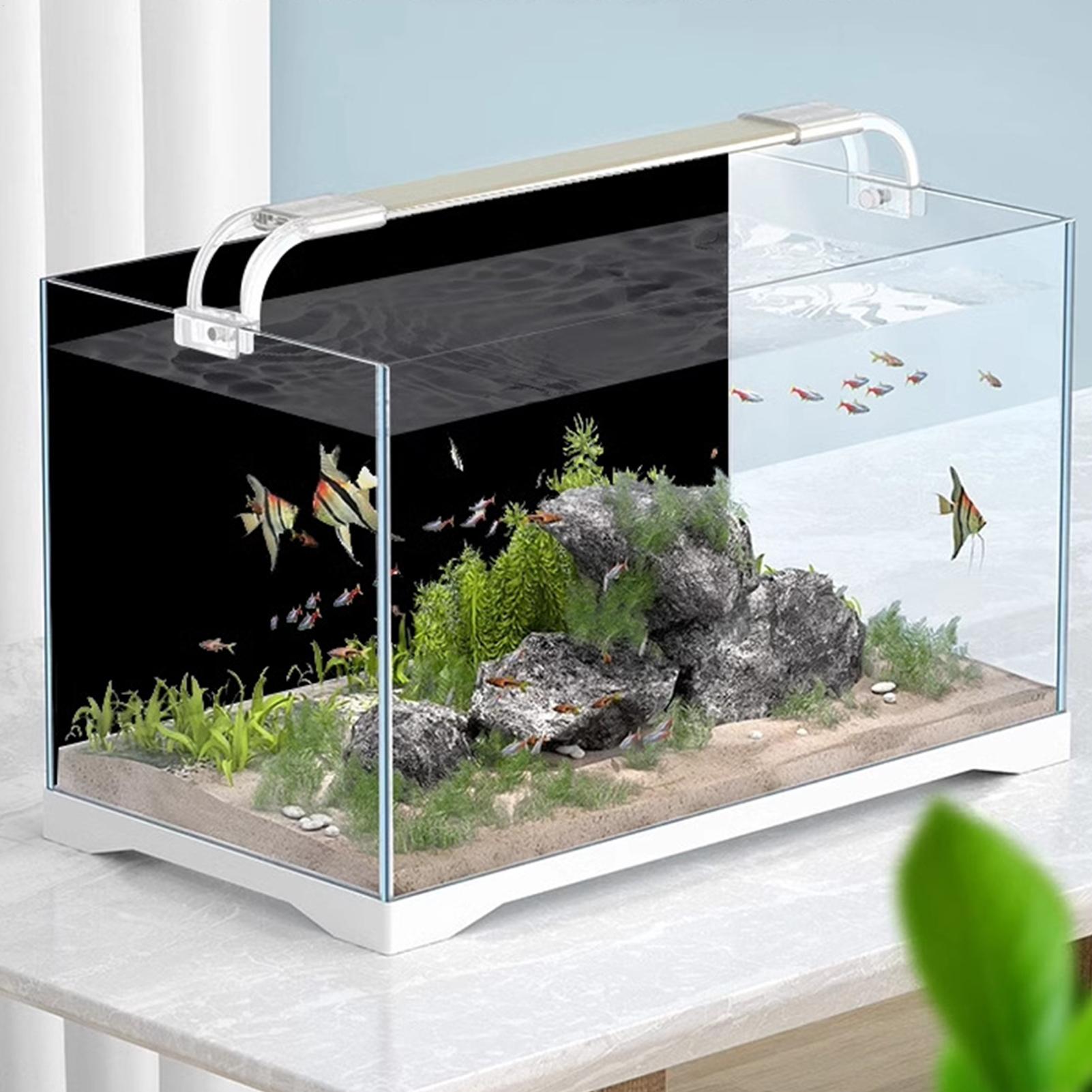 خلفية حوض السمك السوداء، ورق ج - مراجعة Aquarium Fish Wallpaper وسعره