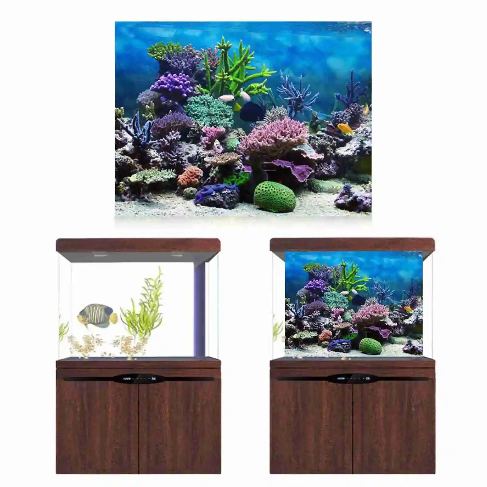 ملصق ثلاثي الأبعاد لحوض السمك  - مراجعة Aquarium Fish Wallpaper وسعره