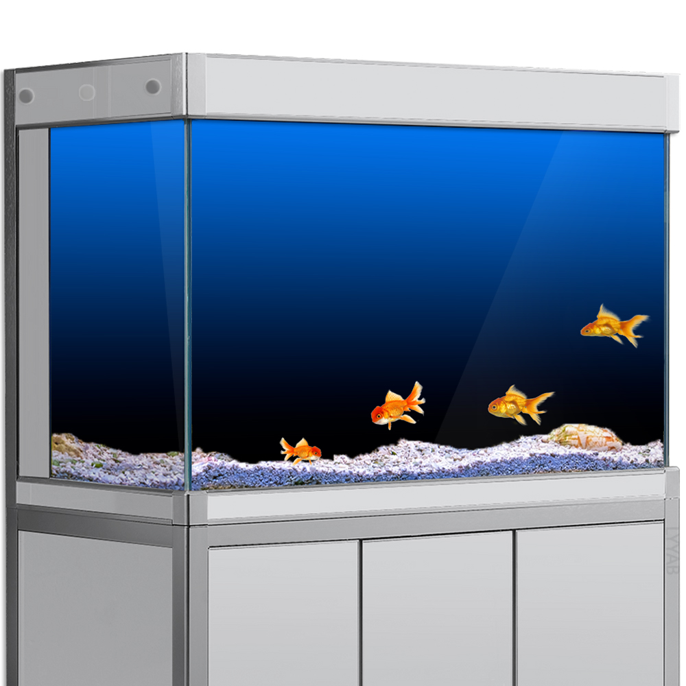 ملصق خلفية لخزان الأسماك أسود  - مراجعة Aquarium Fish Wallpaper وسعره
