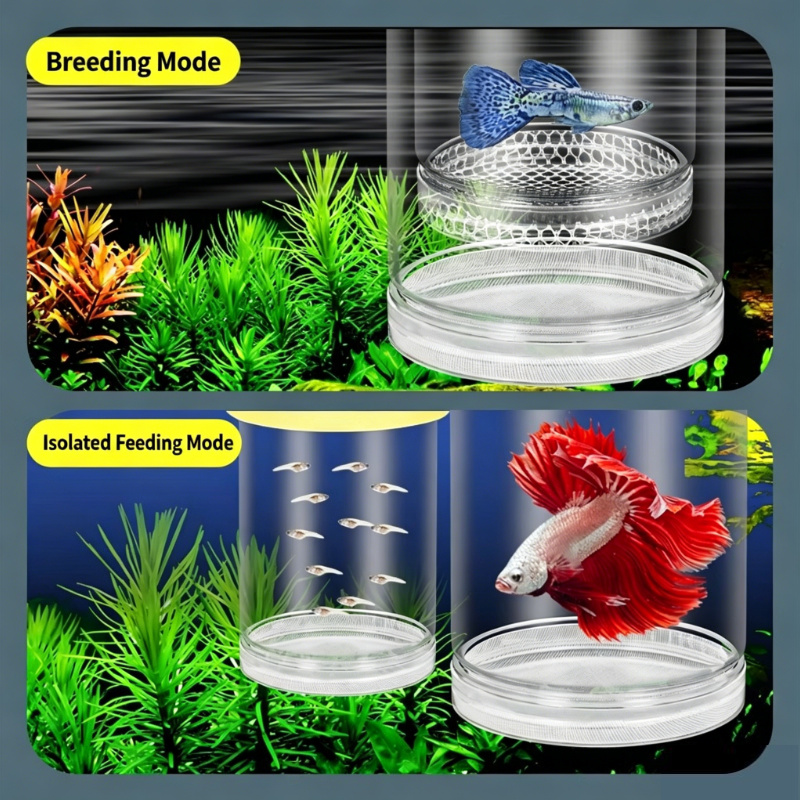 صندوق تفريخ شفاف عائم للأحواض  - مراجعة Aquarium Fish Cave وسعره