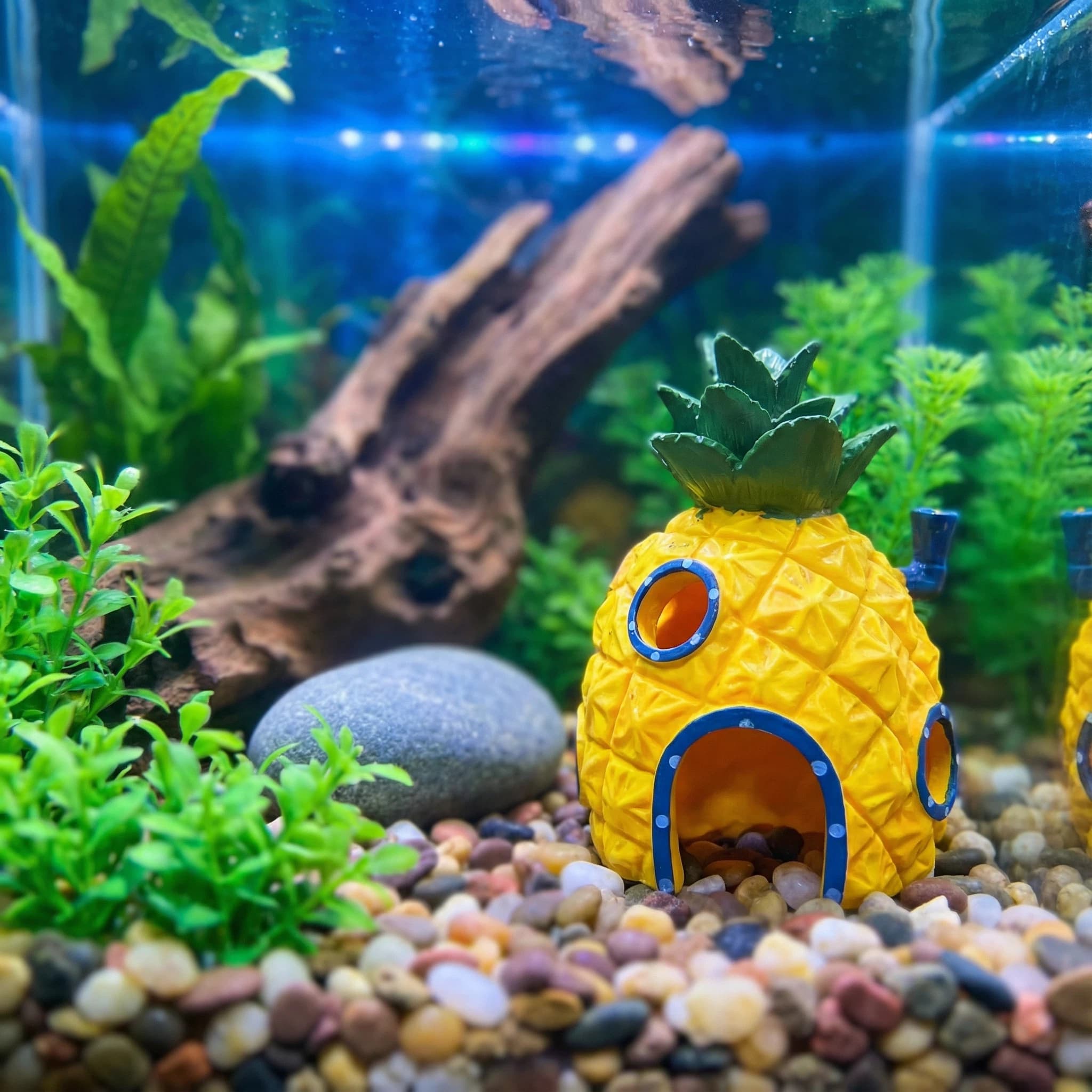 ديكور حوض السمك على شكل بيت ال - مراجعة Aquarium Fish Cave وسعره